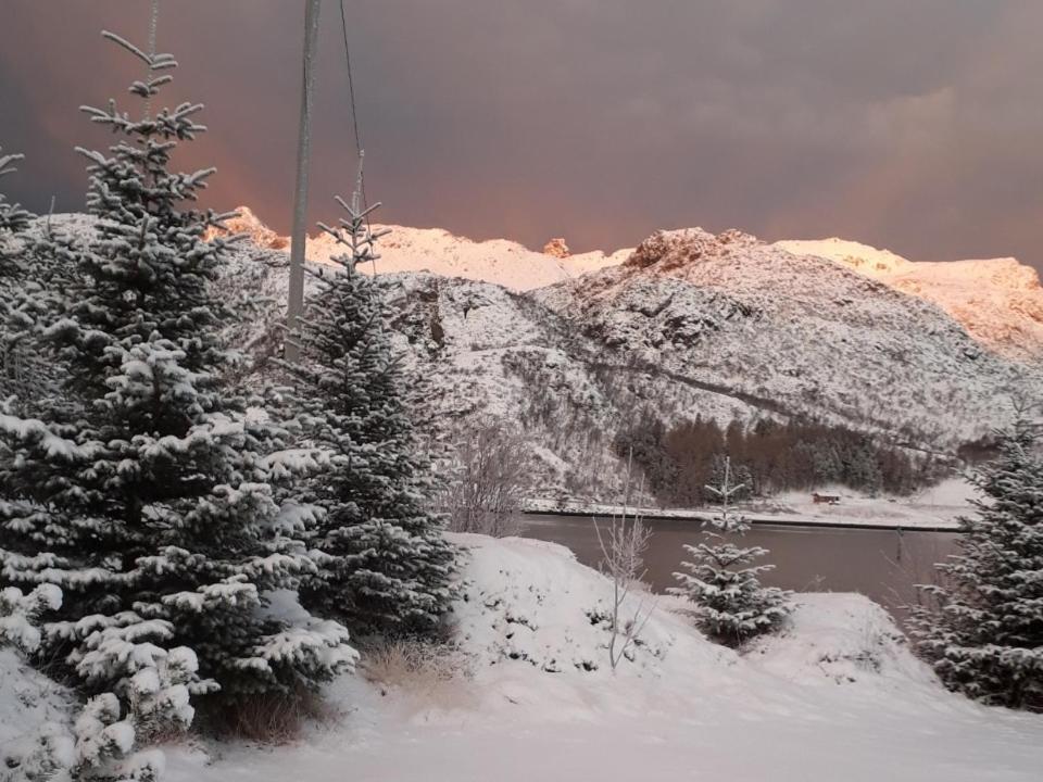 Rooms For Rent Bo (Nordland) ภายนอก รูปภาพ
